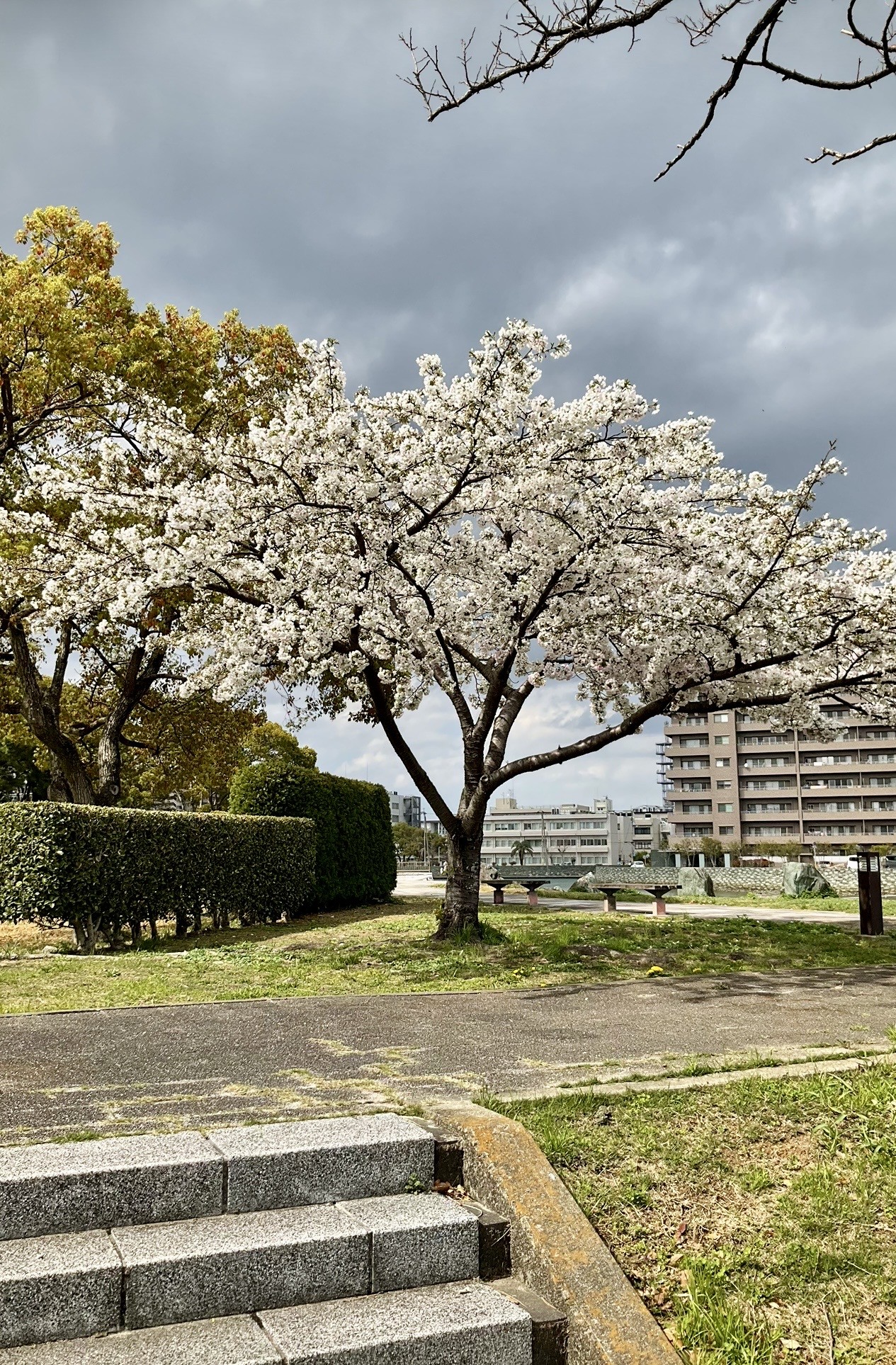 徳住橋ちかく